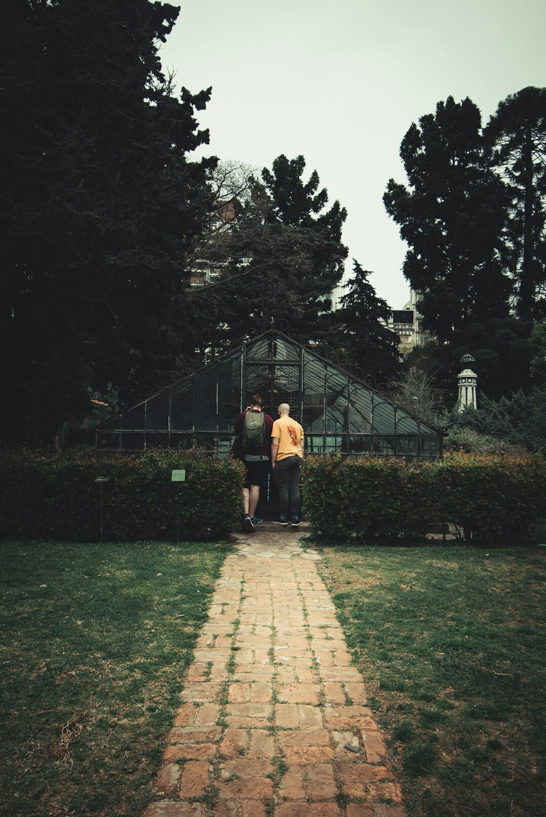 elderly couple walking in garden